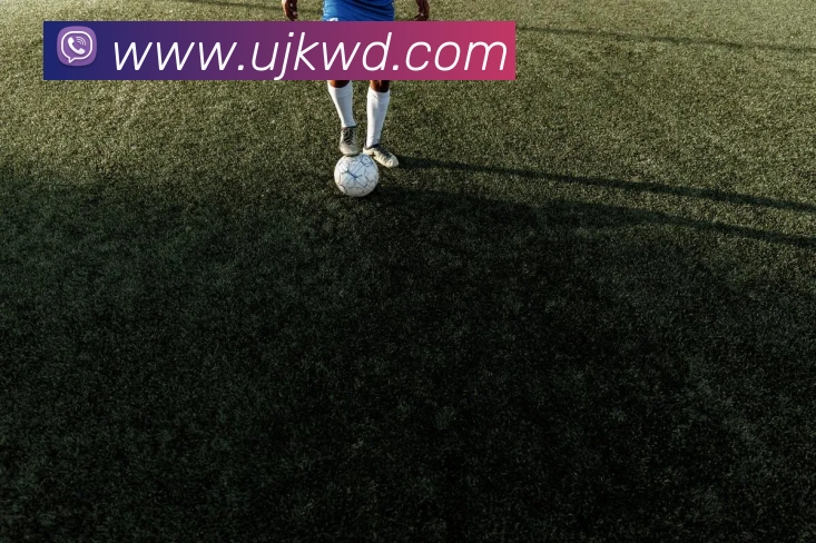 问鼎娱乐服务体系